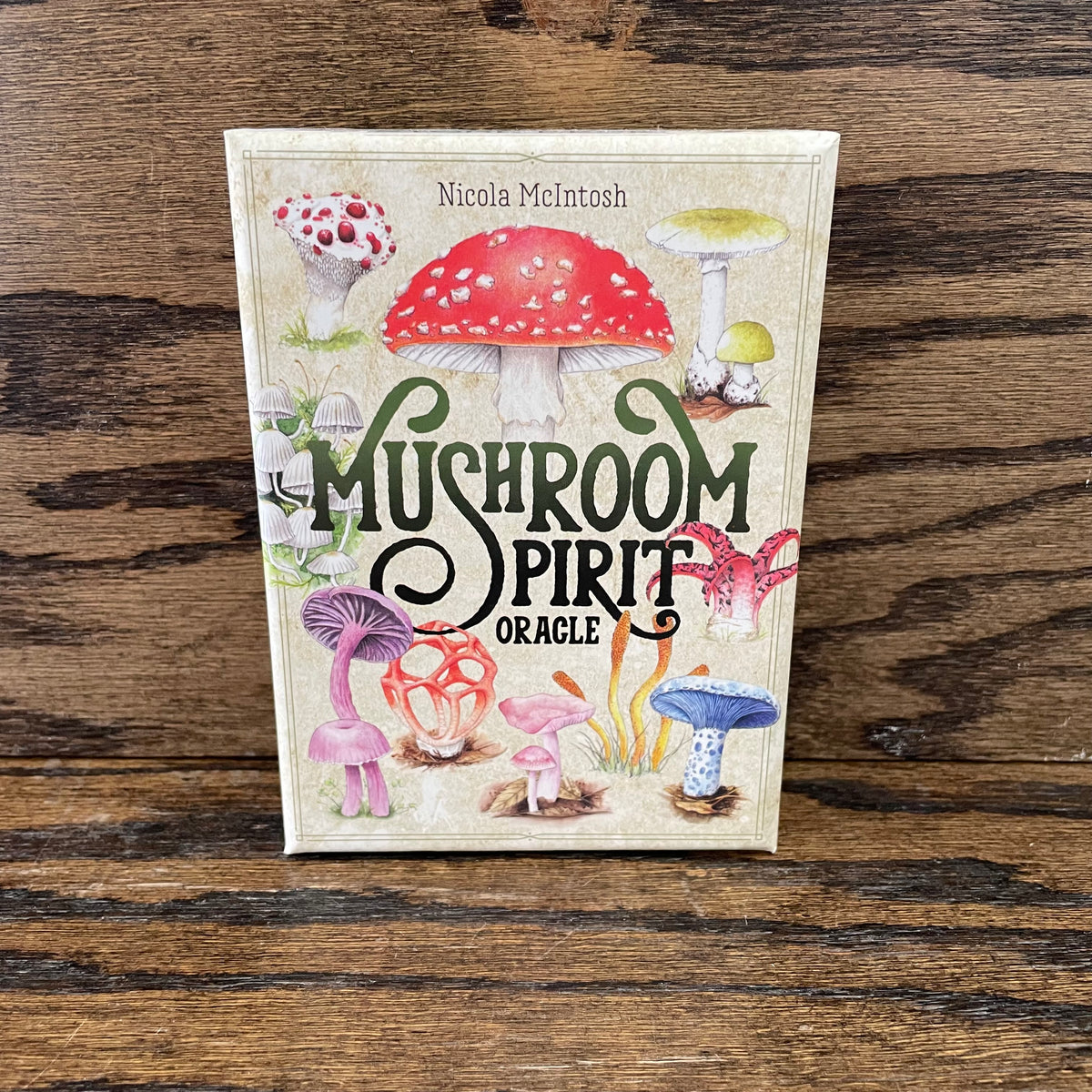 The Mushroom Spirit Oracle ReCircle Home
